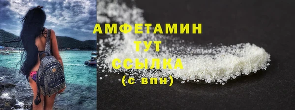 стаф Липки