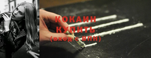 стаф Липки