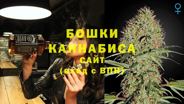 стаф Липки