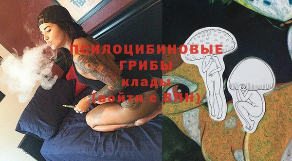 стаф Липки