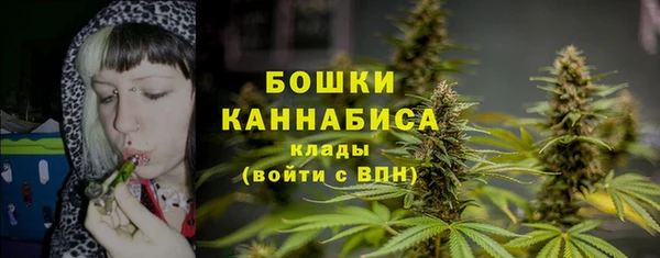стаф Липки